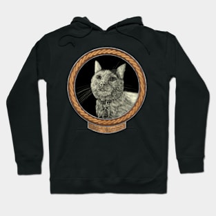 Lucy&#39;s Gaze (frame copper celtic rope silver rim) Hoodie